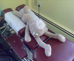 Chiropractic Asheville NC rabbit adjustment